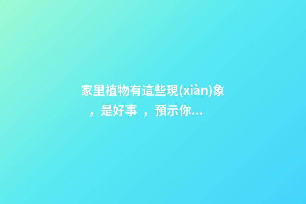 家里植物有這些現(xiàn)象，是好事，預示你家要發(fā)大財了！